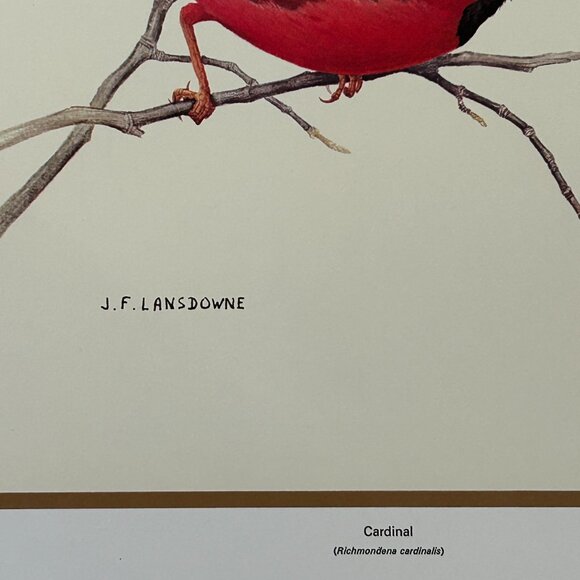 Vintage 1970 & 1971  Calendar Prints J.F. Lansdowne Birds - Picture 3 of 9